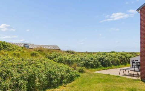 Majvi - 2.3Km from the Sea: Gras, Groen, Vegetation, Struik, Grasland, Landschap, Landelijk Gebied, Plantengemeenschap, Land Lot