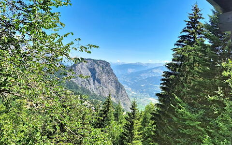 Le Mayen D'Ovronnaz: Bergachtig Landvormen, Berg, Groen, Boom, Blad, Vegetation, Woud, Hoogland, Heuvel, Wildernis