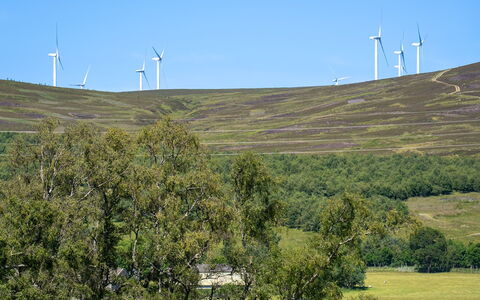 Strathnoon: Natuurlijke Omgeving, Grasland, Ecoregio, Landschap, Veld, Land Lot