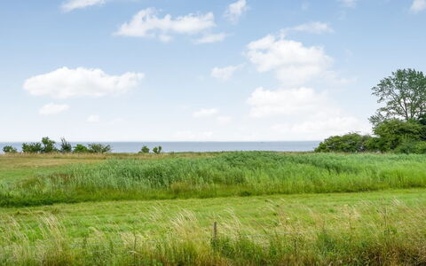 Apsolon - 100M from the Sea: Lucht, Blauw, Groen, Gras, Natuurlijke Omgeving, Grasland, Vegetation, Natuurlijk Landschap, Wolk, Ecoregio