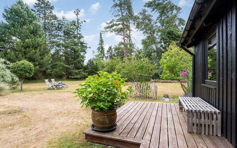 Thorunn - 250M from the Sea: Hout, Struik, Tuin, Land Lot, Plantengemeenschap, Groundcover, Verblijf, Backyard, Schaduw