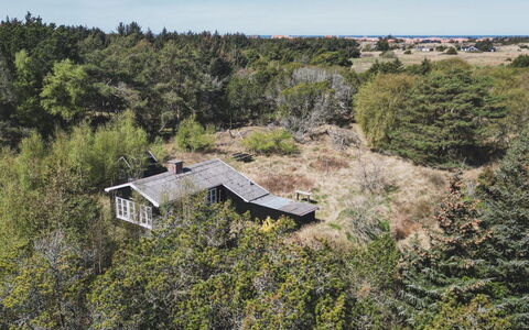 Inan - 800M from the Sea: Vegetation, Struik, Plantengemeenschap, Huis, Verblijf, Landelijk Gebied, Landgoed, Shrubland, Boerderij