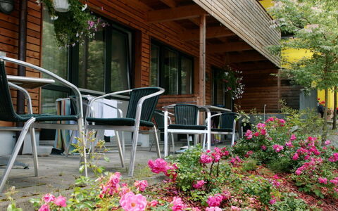 Zell am See 79: Bloem, Tuin, Werf, Schaduw, Landscaping, Beits, Kamerplant, Backyard, Bloempot, Bloemisterij