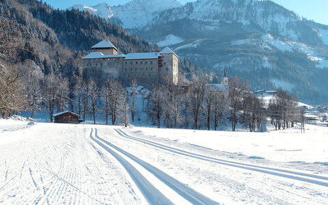 Zell am See 79: Sneeuw, Winter, Bergachtig Landvormen, Berg, Glacial Landform, Landschap, Hoogland, Bergketen, Heuvel, Heuvel Station