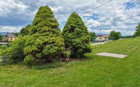Haus Valentin: Blad, Struik, Tuin, Groundcover, Woody Plant, Landscaping, Gazon, Botanische Tuin, Evergreen