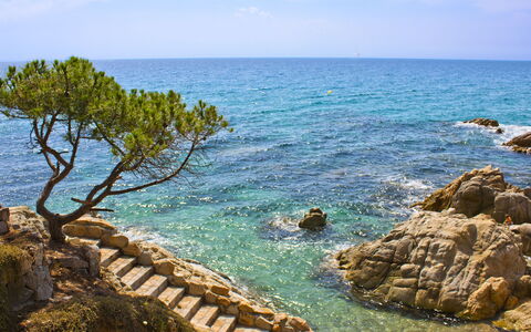 Cannes: Blauw, Water, Zwemwater, Kust,  Felsen\, Kust En Oceanic Landvormen, Zee, Zomer, Landschap, Kust
