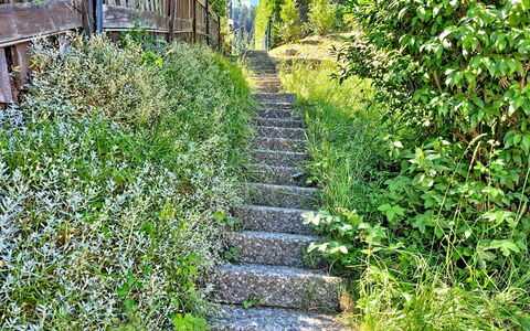 Balcon du Ciel 1: Groen, Vegetation, Struik, Plantengemeenschap, Groundcover, Tuin, De Lente, Trap, Kruidachtige Plant