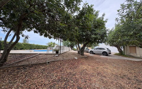 Casale Nardi: Boom, Blad, Afdeling, Weg Oppervlak, Schaduw, Woody Plant, Zonlicht, Oprit, Bodem, Landscaping