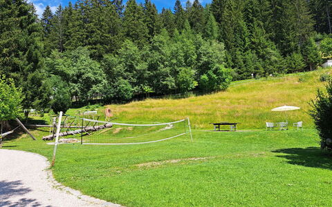 Grafenast: Boom, Lariks, Tuin, Park, Gazon, Openluchtbank, Landscaping, Evergreen