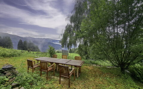 Grafenast: Natuurlijk Landschap, Woud, Heuvel Station, Lariks, Vallei, Tuin, Landscaping, Evergreen