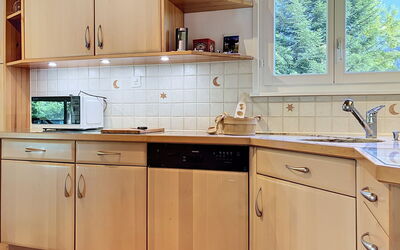 Accommodatie:&nbsp;Chalet Chaudoudoux - les Paccots 603.2