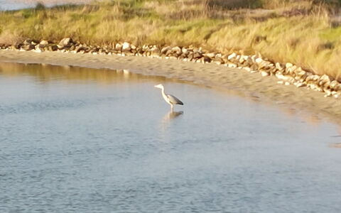 Villa la Coquille: Water, Watervoorraden, Gewervelde, Waterloop, Bank, Meer