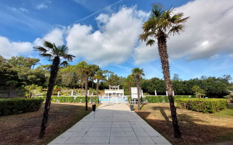 Confort, Piscine et Plage: Boom, Struik, Openbare Ruimte, Tuin, Woody Plant, Gang, Landscaping, Schaduw, Park
