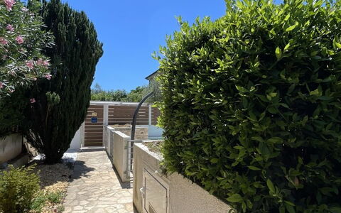 Volme: Struik, Tuin, Schaduw, Gang, Landscaping, Beton, Haag, Stoep, Oprit, Flagstone