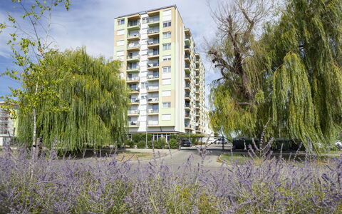 Silver: Dag, Gebouw, Appartement, Woongebied, Stad, Stedelijk Gebied, Buurt, Facade, Condominium