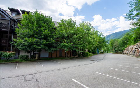 Ax-Les-Thermes 645: Boom, Weg Oppervlak, Afdeling, Asfalt, Oprit, Parking