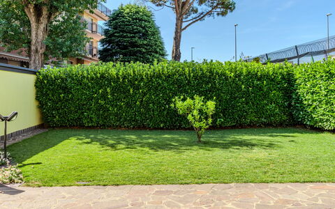 Villa Giulia: Groen, Struik, Haag, Tuin, Groundcover, Gazon, Landscaping, Schaduw, Gang, Kunstgras