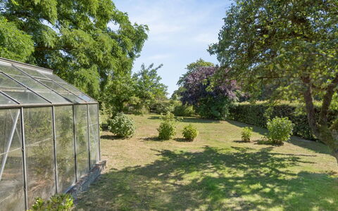 Helge - 10Km from the Sea: Boom, Vegetation, Struik, Tuin, Landschap, Plantengemeenschap, Land Lot, Groundcover, Gazon