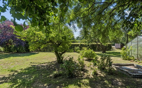 Helge - 10Km from the Sea: Blad, Boom, Groen, Afdeling, Vegetation, Struik, Plantengemeenschap, Tuin, Groundcover, Woody Plant
