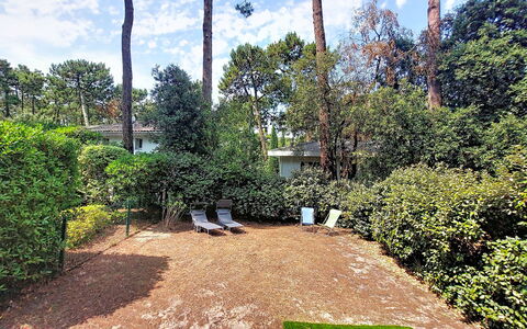 Beau Séjour: Struik, Tuin, Groundcover, Schaduw, Gazon, Backyard, Landscaping, Haag, Werf, Oprit