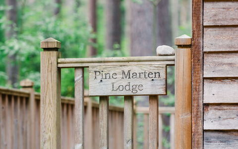 Accommodatie:&nbsp;Pine Marten Lodge 100.1