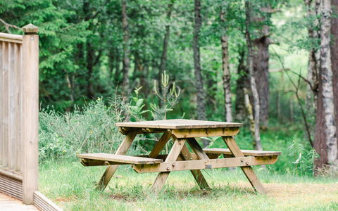 Accommodatie:&nbsp;Capercaillie Cabin 100.3