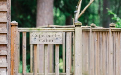 Accommodatie:&nbsp;Capercaillie Cabin 100.3