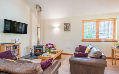 Accommodatie:&nbsp;Capercaillie Cabin 100.3