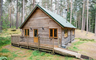 Accommodatie:&nbsp;Pine Marten Lodge 100.1
