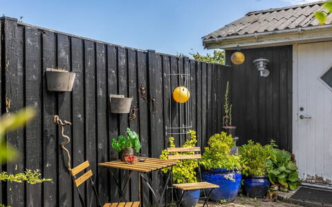 Isabel - 650M from the Sea: Bloempot, Tuin, Kamerplant, Backyard, Werf, Plank, Home Schermen, Bloemisterij, Binnenplaats