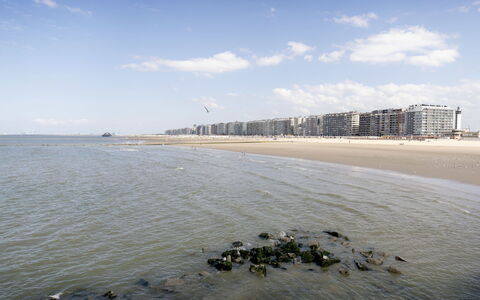 Centrally Located Sea You Again: Dag, Water, Horizon, Kust, Zee, Strand, Landschap, Kust En Oceanic Landvormen, Kust, Oceaan