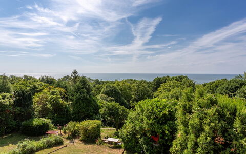 Maison Rose: Lucht, Blauw, Dag, Vegetation, Horizon, Wolk, Struik, Plantengemeenschap, Zonlicht, Cumulus