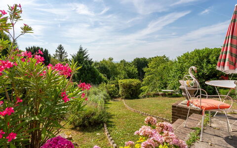 Maison Rose: Bloem, Groen, Tuin, Vegetation, Struik, Roze, Plantengemeenschap, De Lente, Groundcover