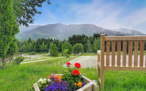 Kaprun 614: Bergachtig Landvormen, Groen, Natuur, Boom, Berg, Natuurlijk Landschap, Heuvel, Landschap, Zomer