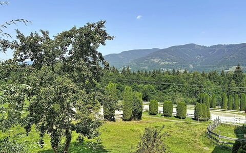 Kaprun 614: Natuurlijke Omgeving, Struik, Hoogland, Heuvel Station, Tuin, Bergketen, Vallei, Plantage, Pasture, Evergreen