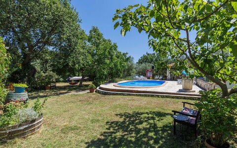 Helena: Boom, Tuin, Schaduw, Gazon, Landscaping, Backyard, Werf, Landgoed, Park, Hacienda