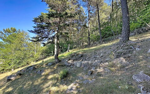 La Bergerie de Portes: Boom, Blad, Vegetation, Wildernis, Plantengemeenschap, Woud, Geologie, Natuurgebied, Lariks