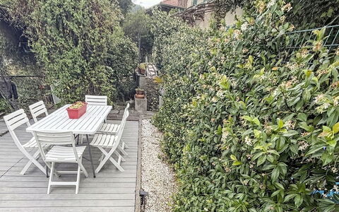 Colazza 100: Struik, Tuin, De Lente, Landscaping, Schaduw, Haag, Hek, Home Schermen, Gang, Backyard