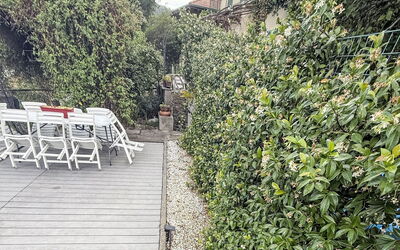 Colazza 100: Struik, Tuin, De Lente, Schaduw, Landscaping, Hek, Botanische Tuin, Home Schermen, Haag