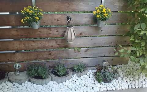 Bergzeit: Bloempot, Tuin, Kamerplant, Plank, Bloemisterij, Hek, Home Schermen, Backyard, Hardwood, Kruid