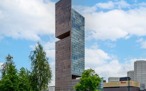Stratford Loft: Struik, Tuin, Woongebied, Plantengemeenschap, Land Lot, Groundcover, Landscaping, Backyard, Werf