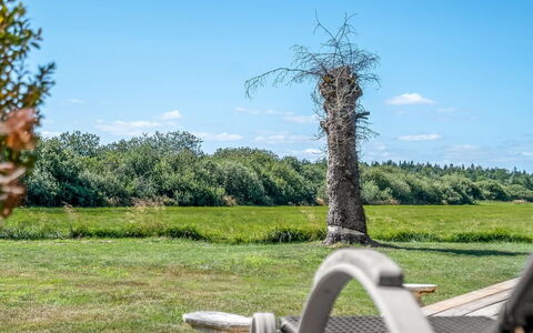 Tameran - from the Sea: Lucht, Blauw, Gras, Groen, Natuurlijk Landschap, Grasland, Plain, Wolk, Landschap