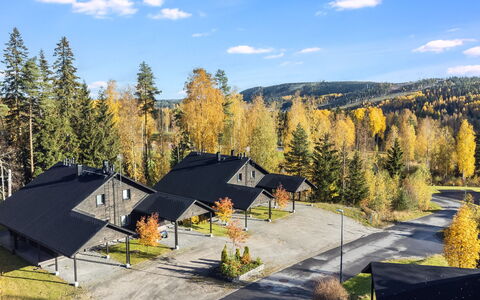 Golfarinkunnas 6B: Boom, Huis, Verblijf, Huis, Dak, Lariks, Siding, Blokhut, Bos, Winter