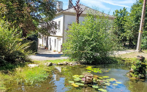 Pizarra: Struik, Waterloop, Reflectie, Vijver, Tuin, Landgoed, Oeverzone