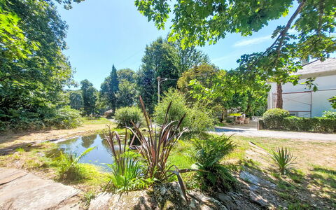 Pizarra: Vegetation, Struik, Tuin, Groundcover, Zonlicht, Woody Plant, Vijver, Schaduw, Landscaping, Botanische Tuin