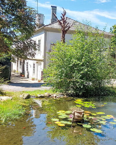 Pizarra: Struik, Waterloop, Reflectie, Vijver, Tuin, Landgoed, Oeverzone