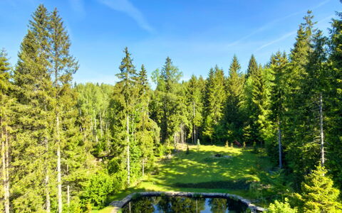 Valera Vita Forest: Groen, Natuurlijk Landschap, Tuin, Woud, Landscaping, Lariks, Vijver, Evergreen, Botanische Tuin