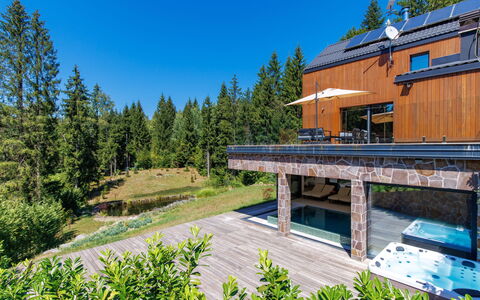 Valera Vita Forest: Boom, Huis, Lariks, Verblijf, Woud, Landscaping, Tuin, Evergreen