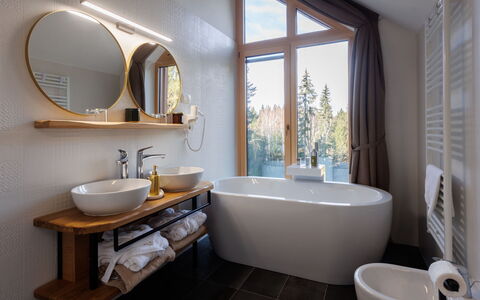 Valera Vita Forest: Interieur Ontwerp, Flooring, Loodgieterswerkinrichting, Huis, Badkamer, Verlichting, Verdieping, Plafond, Kraan, Loodgieter