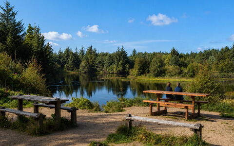 Henri - 700M from the Sea: Natuurgebied, Reservoir, Vijver, Oeverzone, Moeras, Reflectie